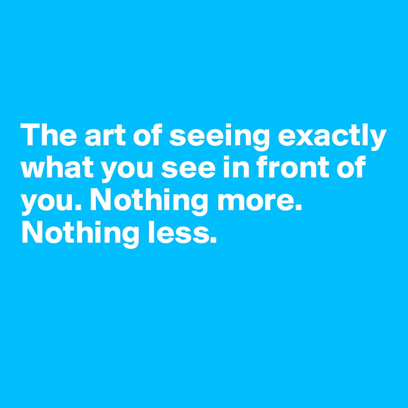 


The art of seeing exactly what you see in front of you. Nothing more. 
Nothing less. 



