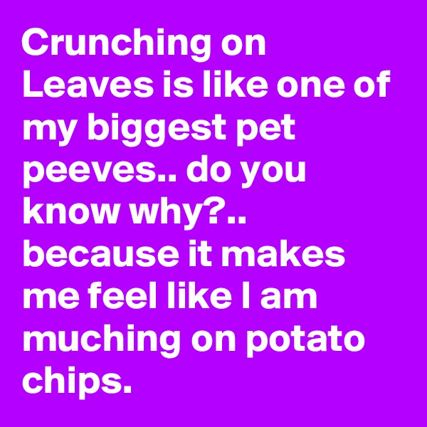 Crunching on Leaves is like one of my biggest pet peeves.. do you know why?.. because it makes me feel like I am muching on potato chips.