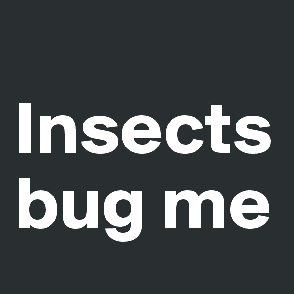 
Insects bug me