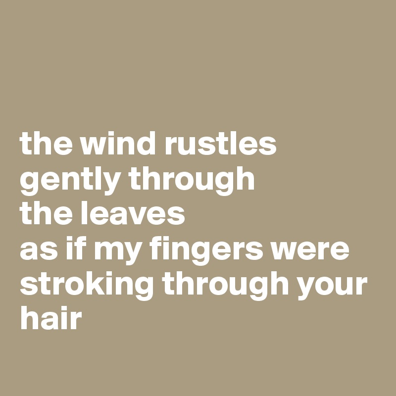 
  

the wind rustles gently through 
the leaves 
as if my fingers were stroking through your hair 
