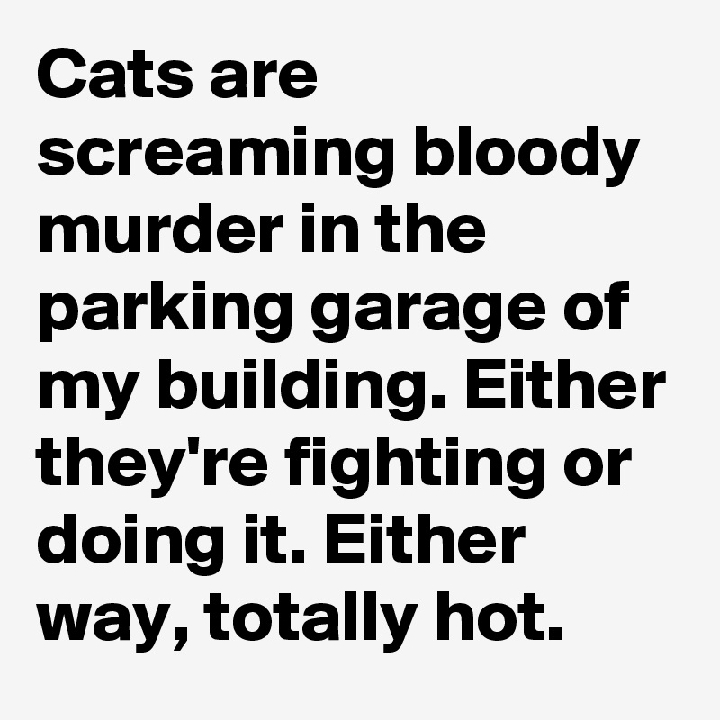 Cats are screaming bloody murder in the parking garage of my building. Either they're fighting or doing it. Either way, totally hot.