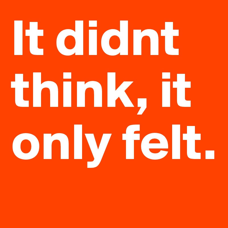 It didnt think, it only felt. 