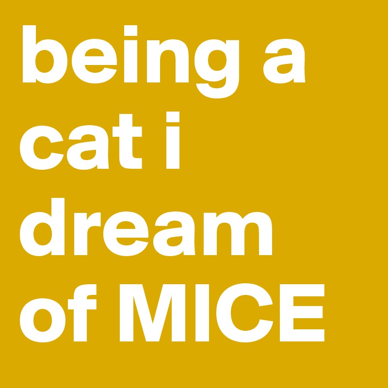 being a cat i dream of MICE