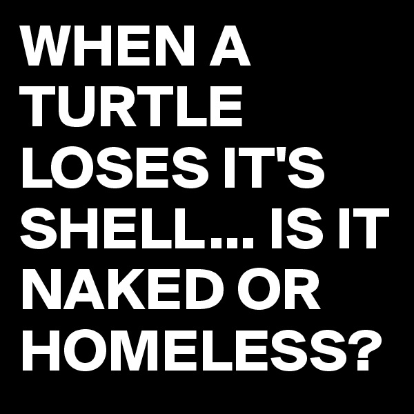 WHEN A TURTLE LOSES IT'S SHELL... IS IT NAKED OR HOMELESS?