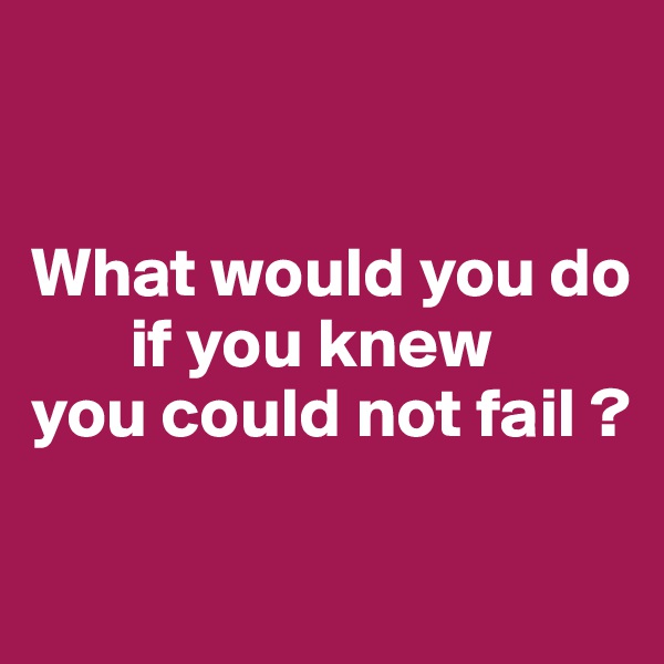 


What would you do
       if you knew
you could not fail ?


