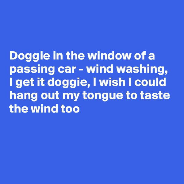 


Doggie in the window of a passing car - wind washing, I get it doggie, I wish I could hang out my tongue to taste the wind too



