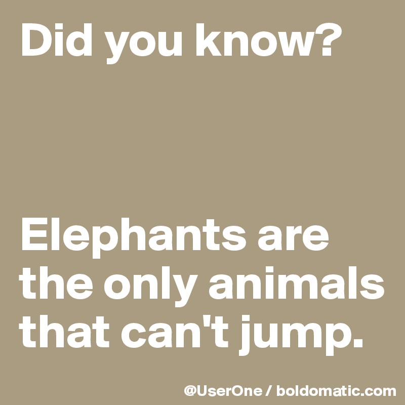 Did you know?



Elephants are the only animals that can't jump.