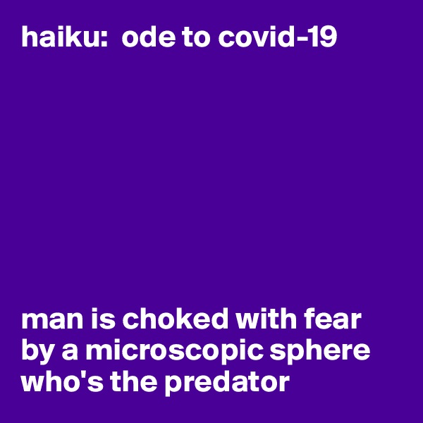 haiku:  ode to covid-19








man is choked with fear
by a microscopic sphere
who's the predator