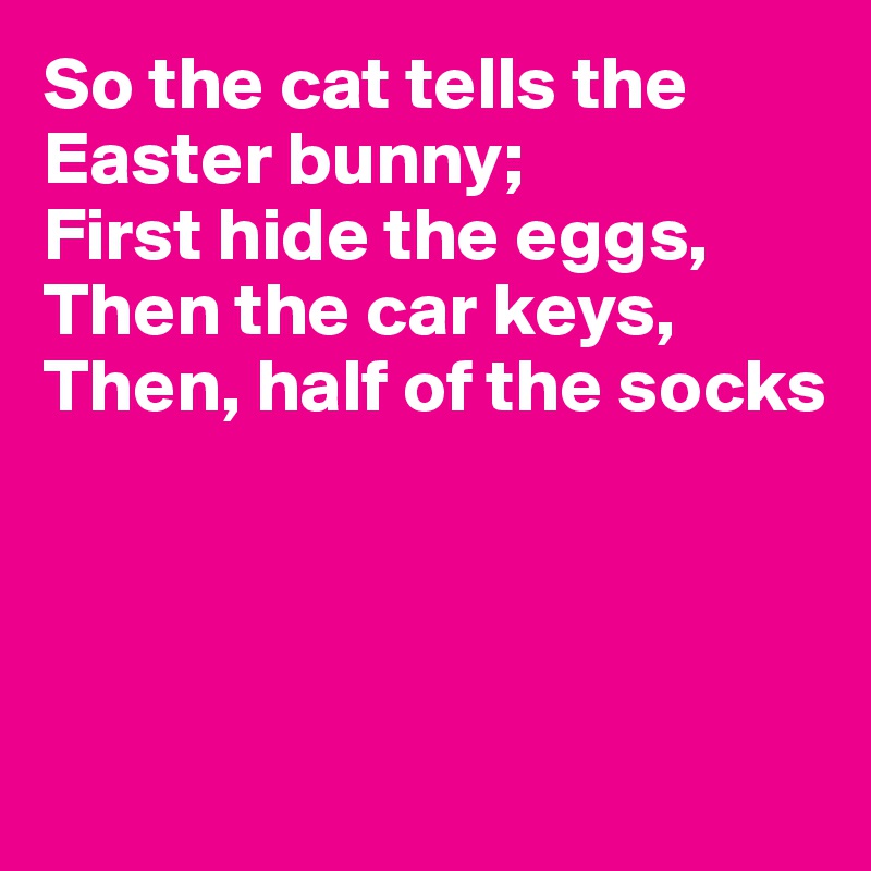 So the cat tells the Easter bunny;
First hide the eggs,
Then the car keys,
Then, half of the socks




