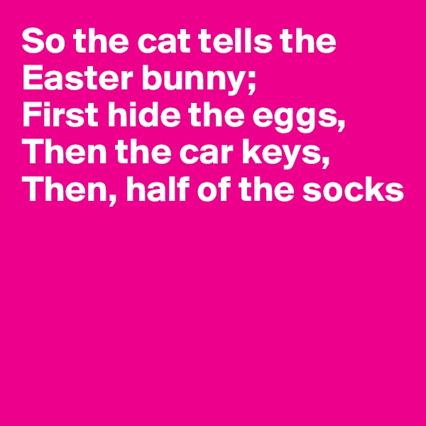 So the cat tells the Easter bunny;
First hide the eggs,
Then the car keys,
Then, half of the socks




