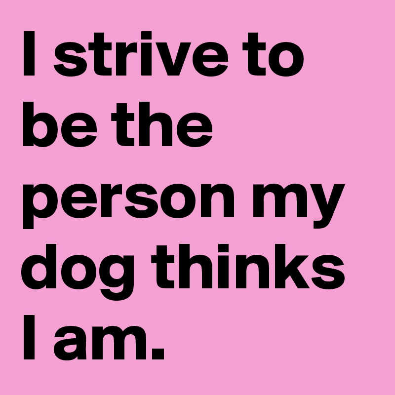 I strive to be the person my dog thinks I am. 