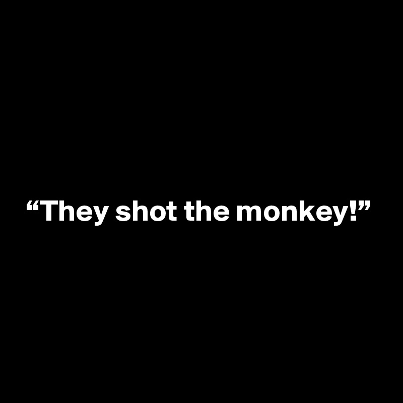 




“They shot the monkey!”




