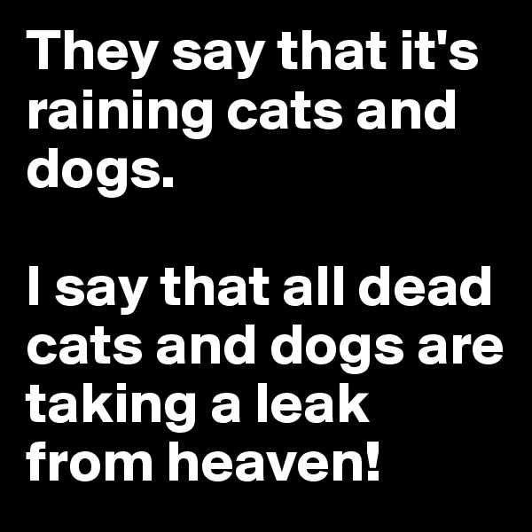 They say that it's raining cats and dogs. 

I say that all dead cats and dogs are taking a leak from heaven! 