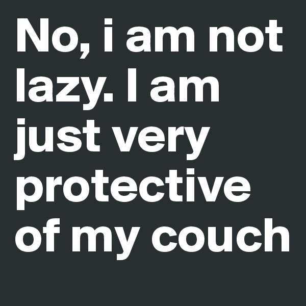 No, i am not lazy. I am just very protective of my couch 
