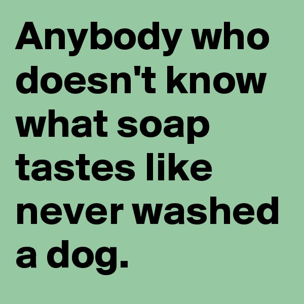 Anybody who doesn't know what soap tastes like never washed a dog.