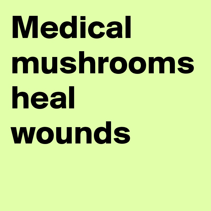 Medical mushrooms heal wounds 
