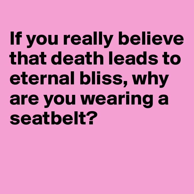 
If you really believe that death leads to eternal bliss, why are you wearing a seatbelt?

