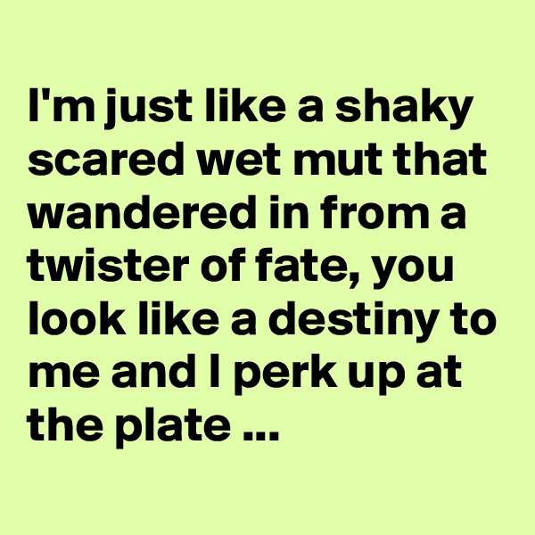 
I'm just like a shaky scared wet mut that wandered in from a twister of fate, you look like a destiny to me and I perk up at the plate ...
  