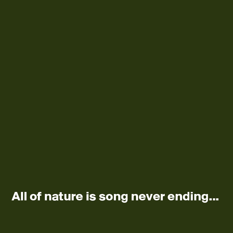 












All of nature is song never ending...