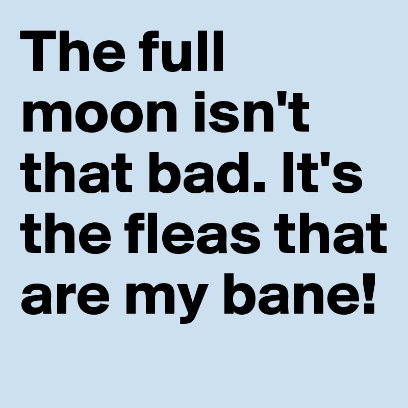 The full moon isn't that bad. It's the fleas that are my bane!