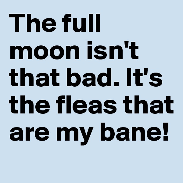 The full moon isn't that bad. It's the fleas that are my bane!