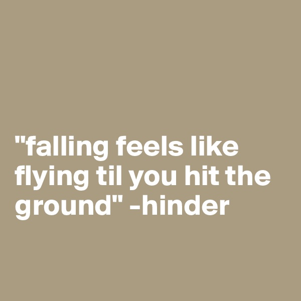 



"falling feels like flying til you hit the ground" -hinder

