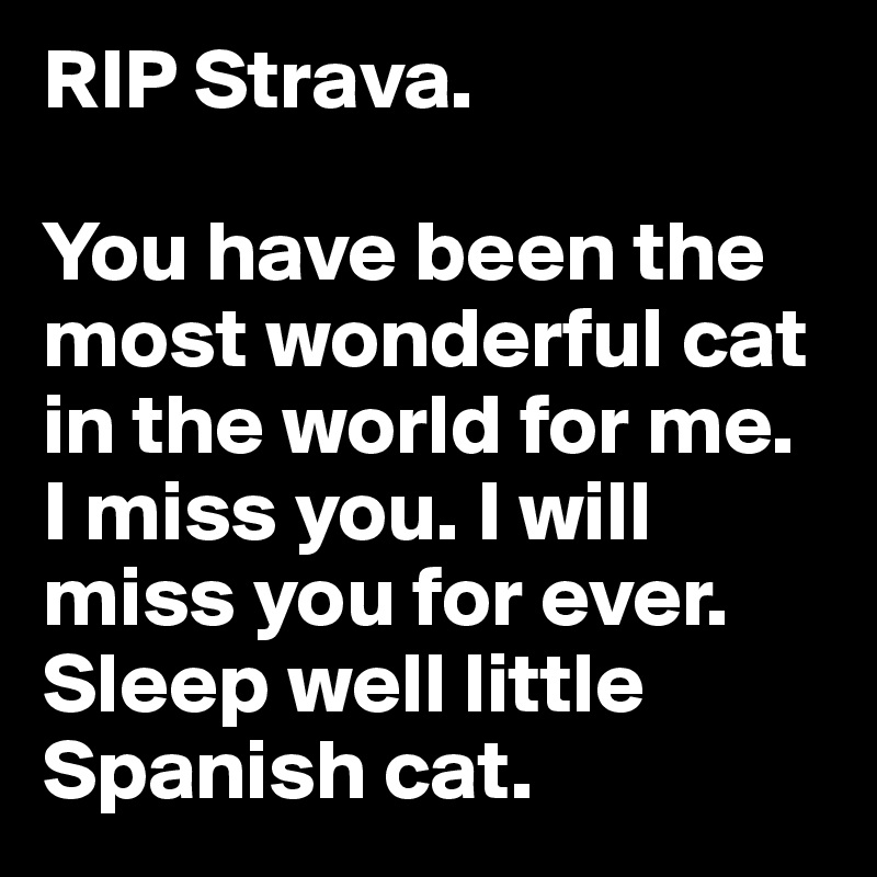 RIP Strava. 

You have been the most wonderful cat in the world for me. I miss you. I will miss you for ever. Sleep well little Spanish cat. 