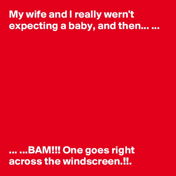 My wife and I really wern't expecting a baby, and then... ...










... ...BAM!!! One goes right across the windscreen.!!.