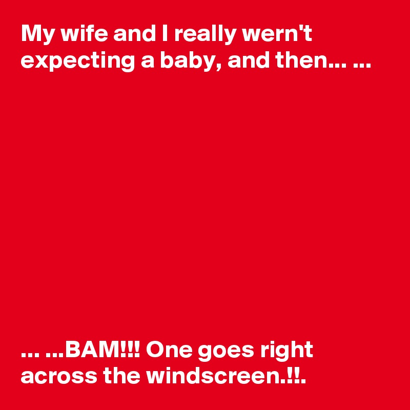 My wife and I really wern't expecting a baby, and then... ...










... ...BAM!!! One goes right across the windscreen.!!.
