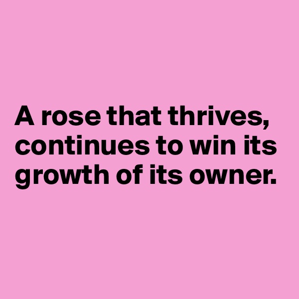 


A rose that thrives, continues to win its growth of its owner.



