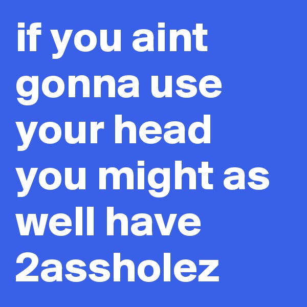 if you aint gonna use your head you might as well have 2assholez