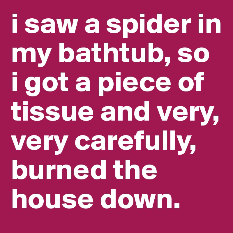 i saw a spider in my bathtub, so i got a piece of tissue and very, very carefully, burned the house down. 