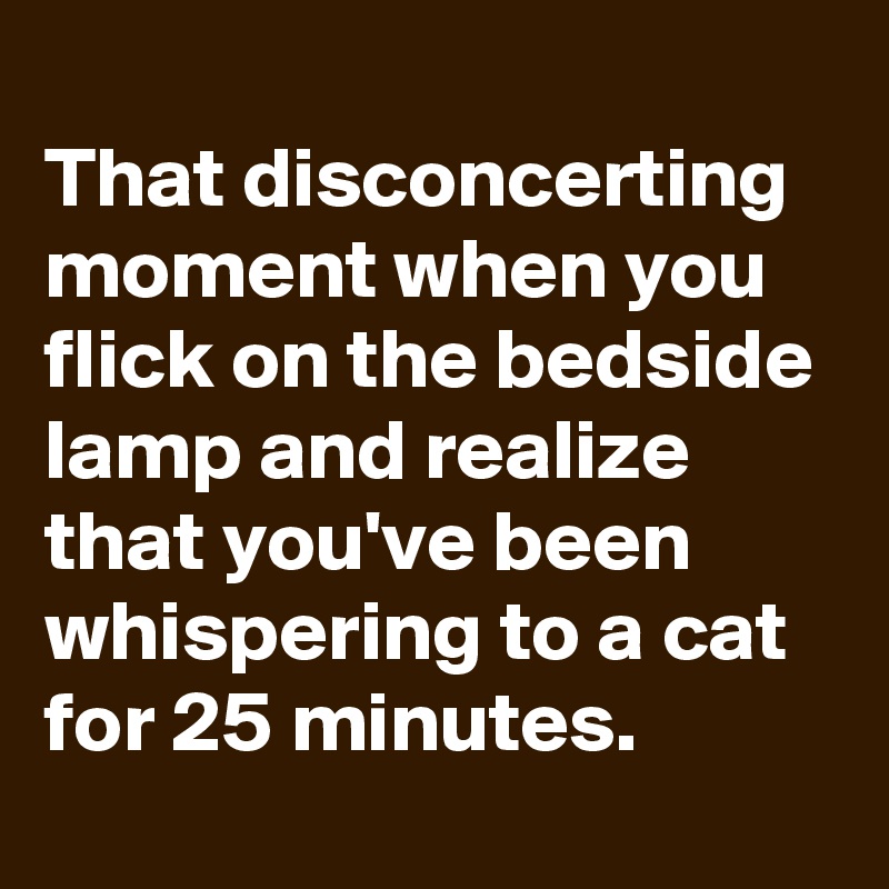                                       That disconcerting moment when you flick on the bedside lamp and realize that you've been whispering to a cat for 25 minutes.
