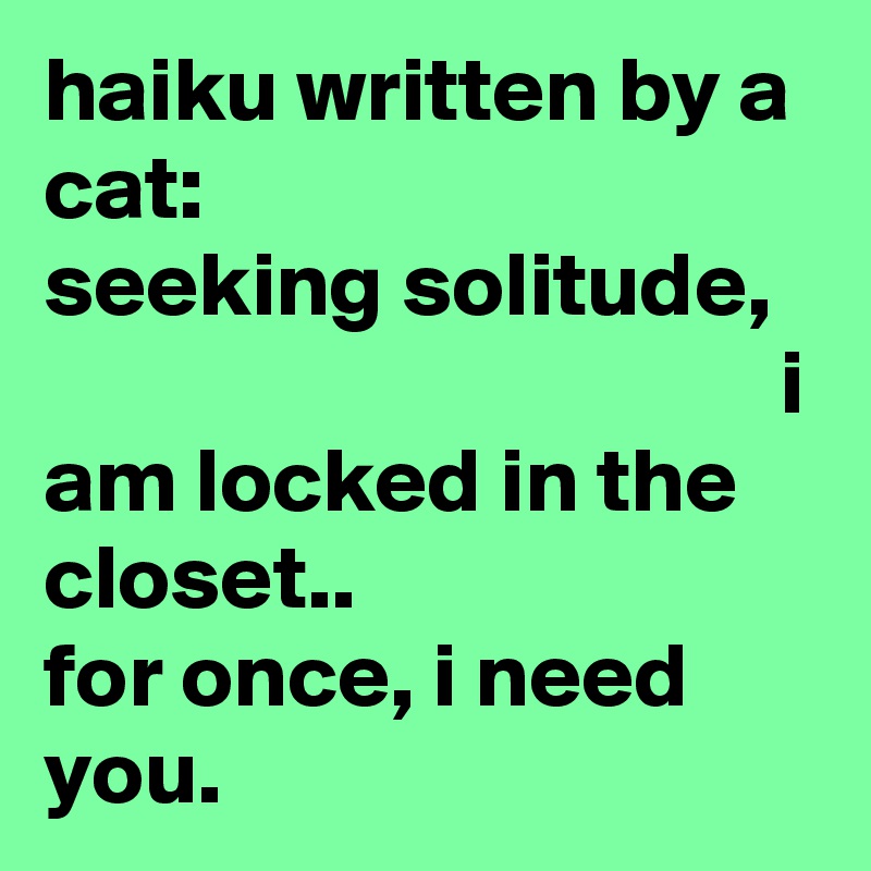 haiku written by a cat:               seeking solitude,                                           i am locked in the closet..                   for once, i need you.