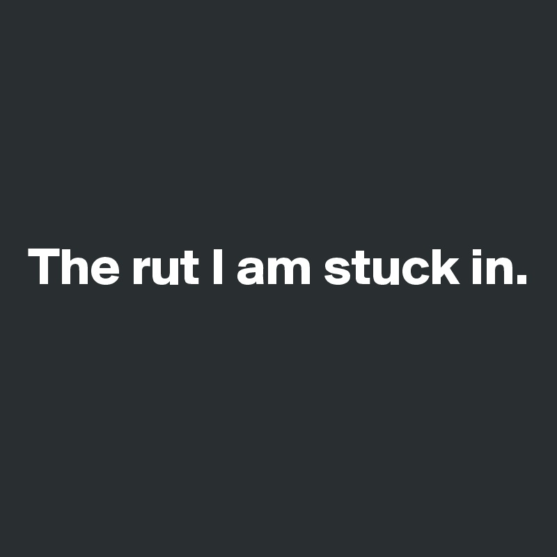 



The rut I am stuck in.



