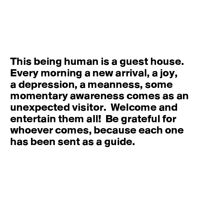 



This being human is a guest house.
Every morning a new arrival, a joy, 
a depression, a meanness, some momentary awareness comes as an unexpected visitor.  Welcome and entertain them all!  Be grateful for whoever comes, because each one 
has been sent as a guide. 



