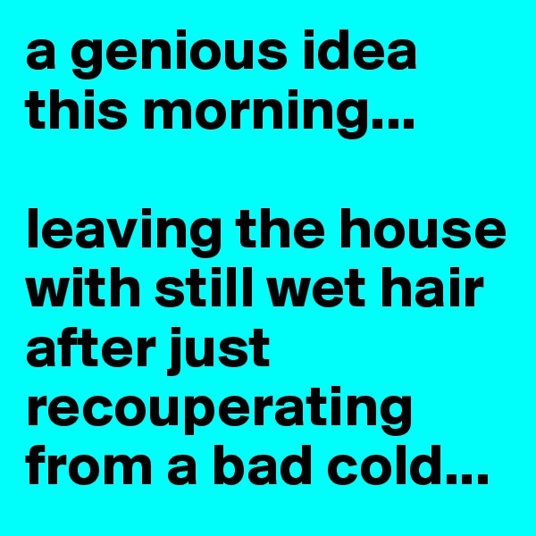 a genious idea this morning... 

leaving the house with still wet hair after just recouperating from a bad cold...