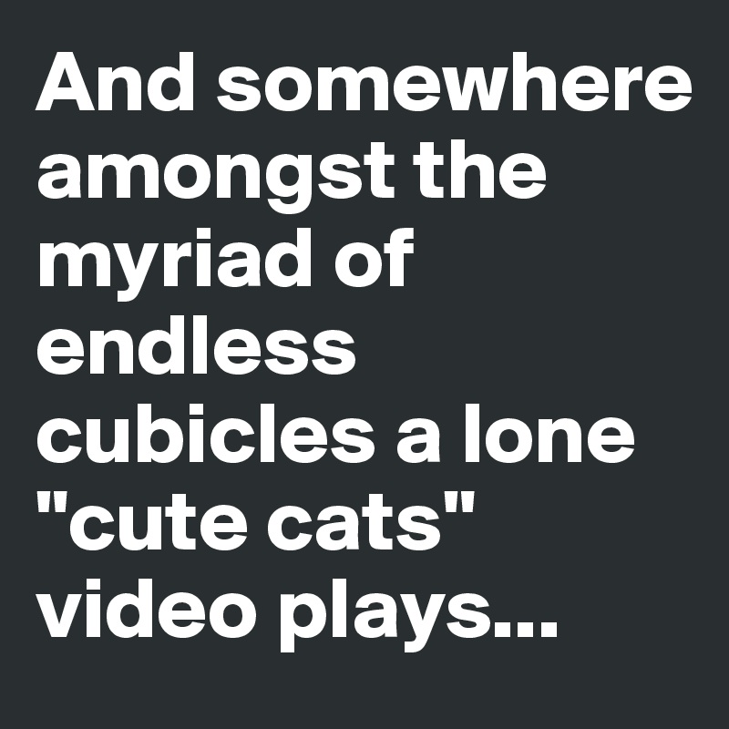 And somewhere amongst the myriad of endless cubicles a lone "cute cats" video plays...