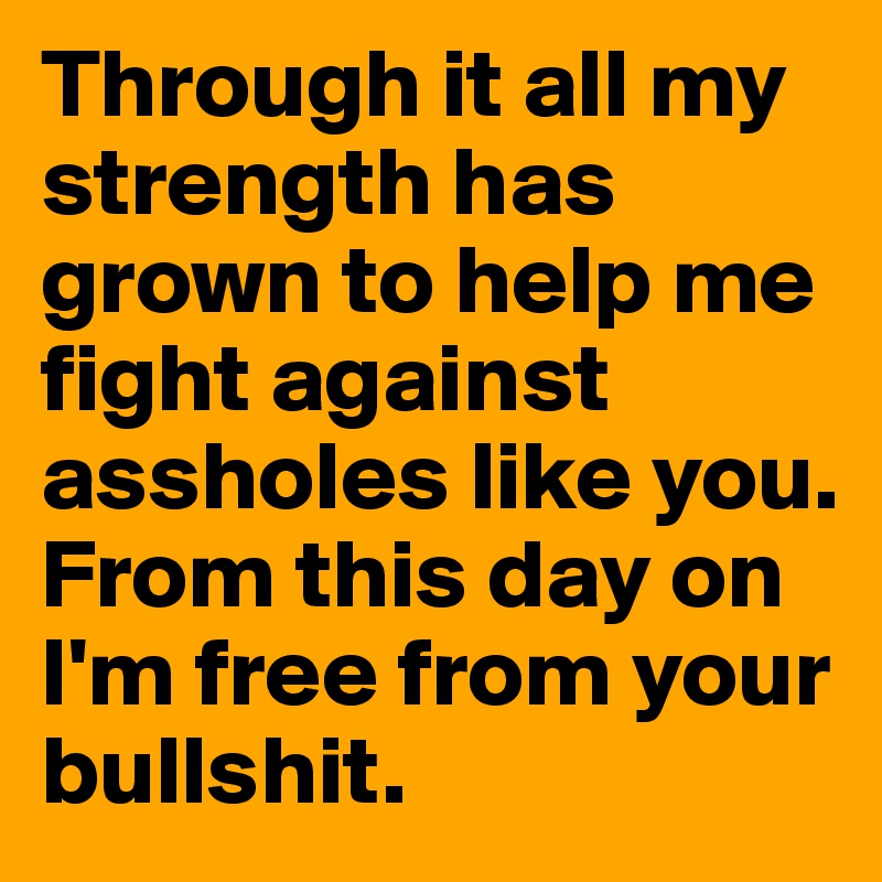 Through it all my strength has grown to help me fight against assholes like you. From this day on I'm free from your bullshit.