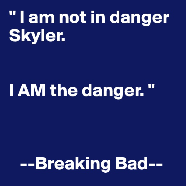 " I am not in danger Skyler. 


I AM the danger. " 



   --Breaking Bad--