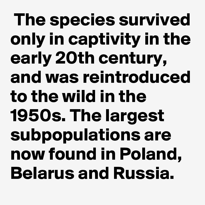 The species survived only in captivity in the early 20th century, and was reintroduced to the wild in the 1950s. The largest subpopulations are now found in Poland, Belarus and Russia.