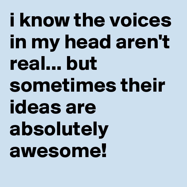 i know the voices in my head aren't real... but sometimes their ideas are absolutely awesome!