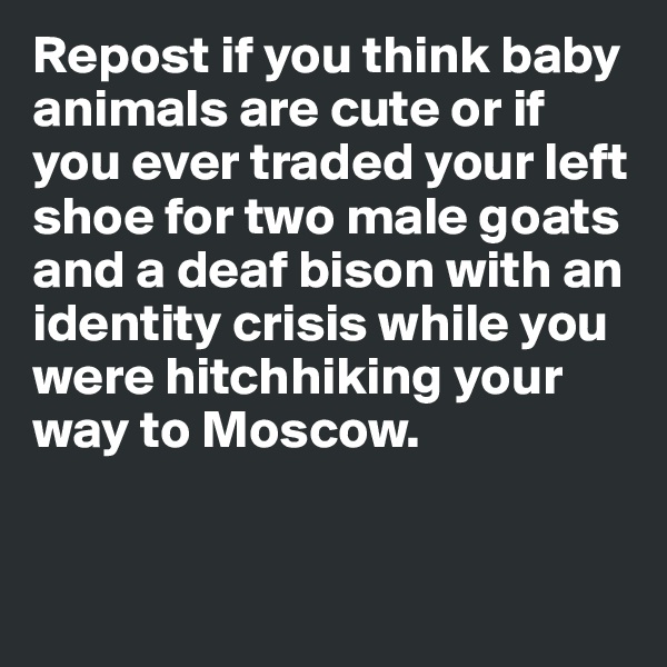 Repost if you think baby animals are cute or if you ever traded your left shoe for two male goats and a deaf bison with an identity crisis while you were hitchhiking your way to Moscow. 


