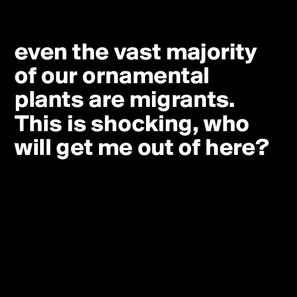 
even the vast majority of our ornamental plants are migrants. This is shocking, who will get me out of here?




