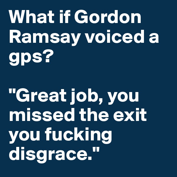What if Gordon Ramsay voiced a gps? 

"Great job, you missed the exit you fucking disgrace." 