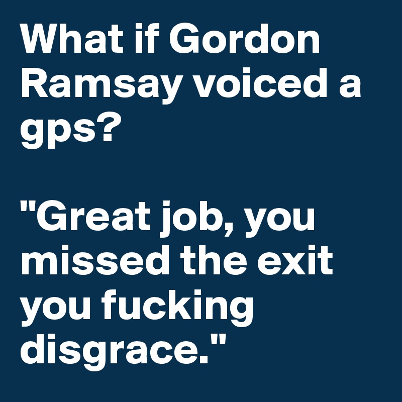 What if Gordon Ramsay voiced a gps? 

"Great job, you missed the exit you fucking disgrace." 