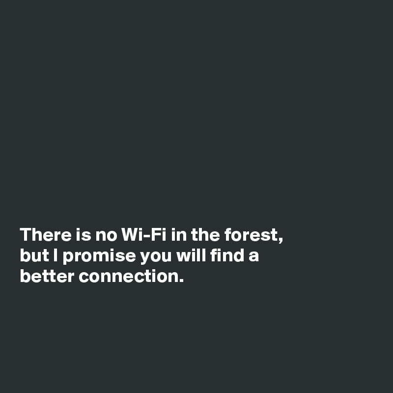 









There is no Wi-Fi in the forest, 
but I promise you will find a 
better connection. 




