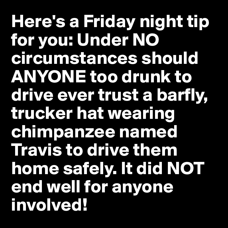 Here's a Friday night tip for you: Under NO circumstances should ANYONE too drunk to drive ever trust a barfly, trucker hat wearing chimpanzee named Travis to drive them home safely. It did NOT end well for anyone involved!