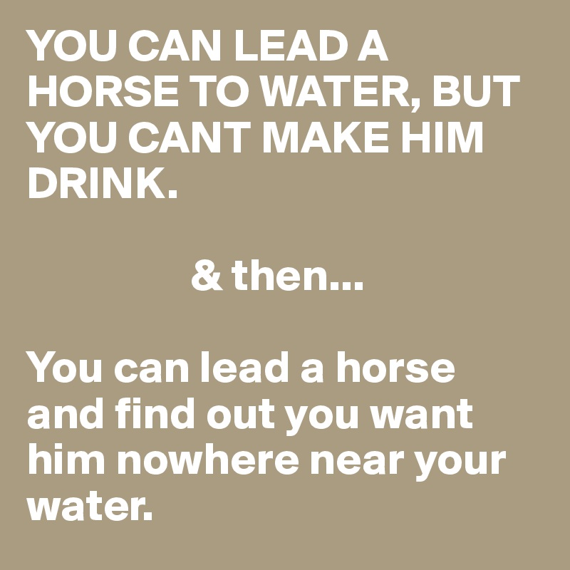YOU CAN LEAD A HORSE TO WATER, BUT YOU CANT MAKE HIM DRINK.

                  & then...

You can lead a horse and find out you want him nowhere near your water.
