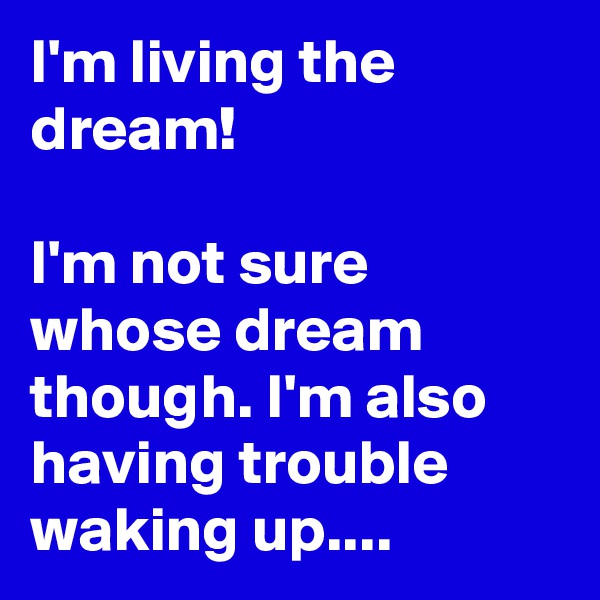 I'm living the dream!

I'm not sure whose dream though. I'm also having trouble waking up....